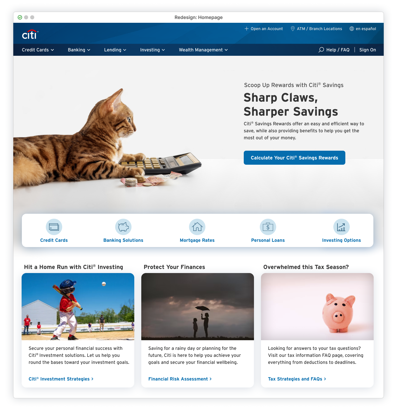 Hero featuring cat looking to the right with paw on money and calculator