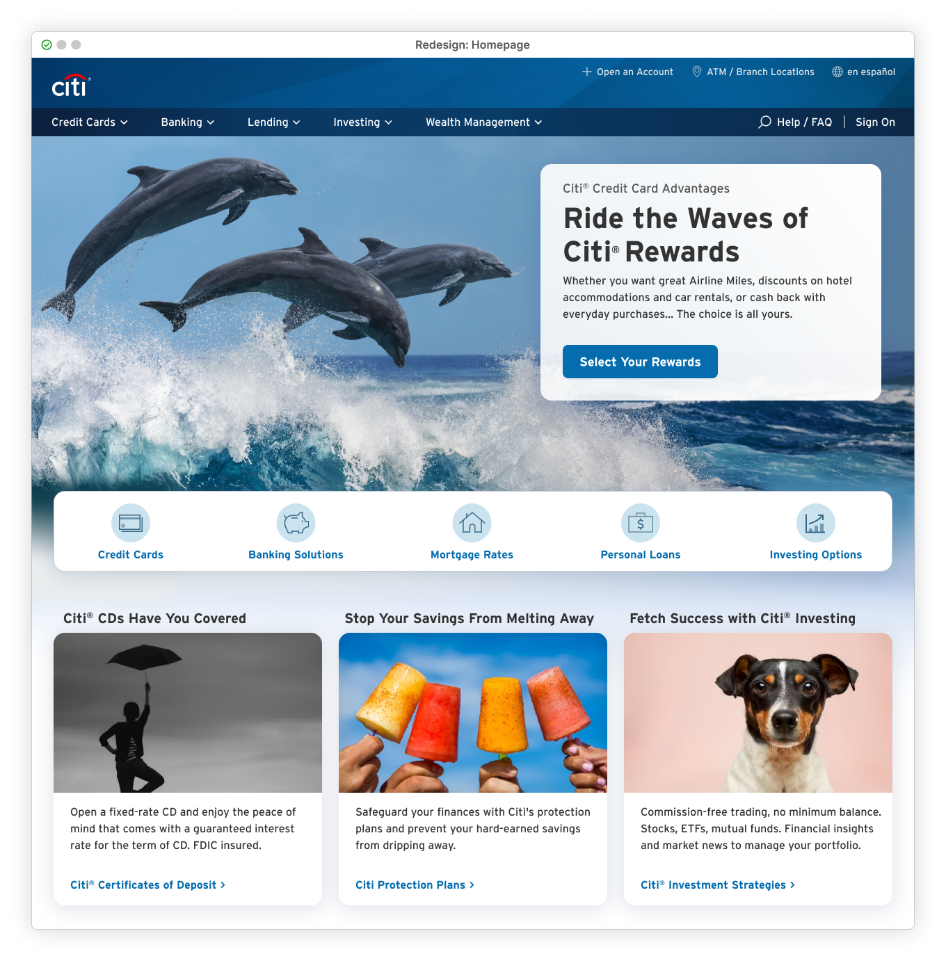 Hero featuring dolphins jumping in the waves.
