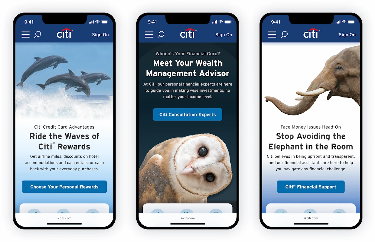 Hero sections and homepage examples; First image: leaping dolphins; Second image: Owl looking sideways; Third image: Elephant
