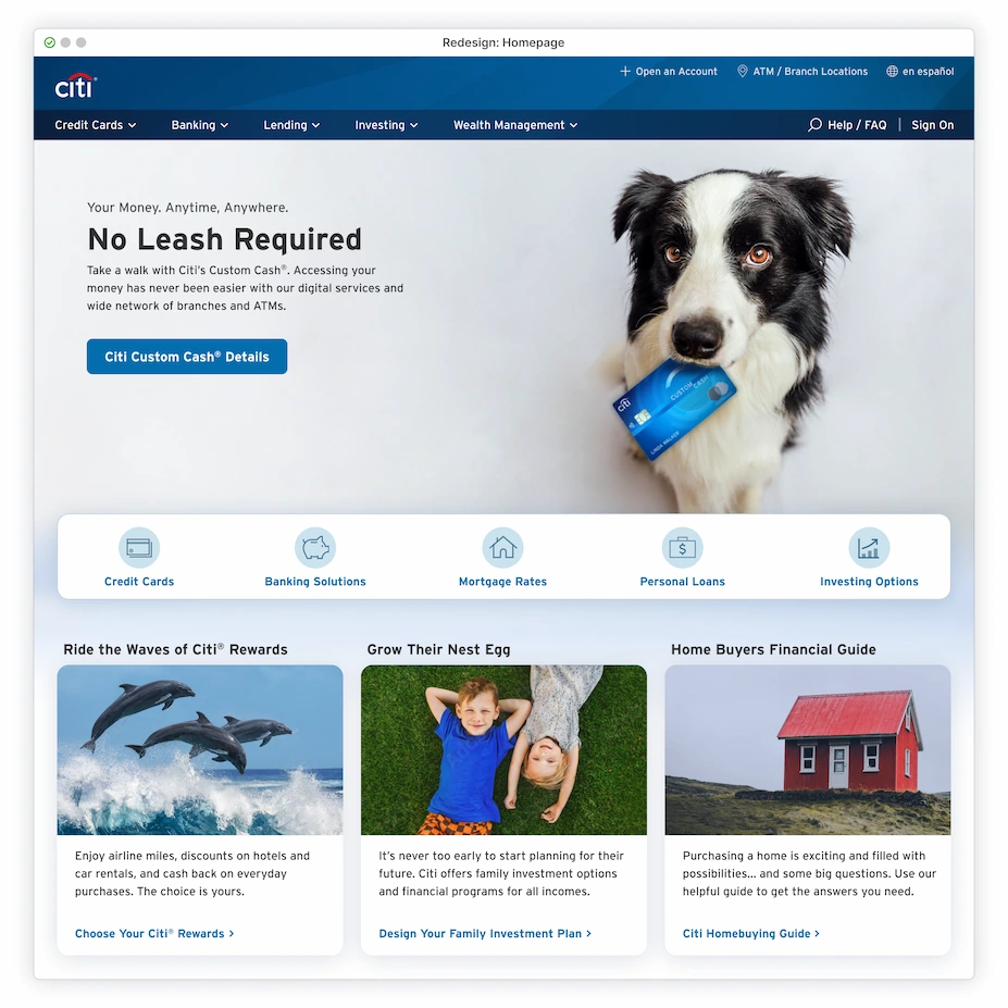 Hero featuring friendly dog with Citi card in mouth