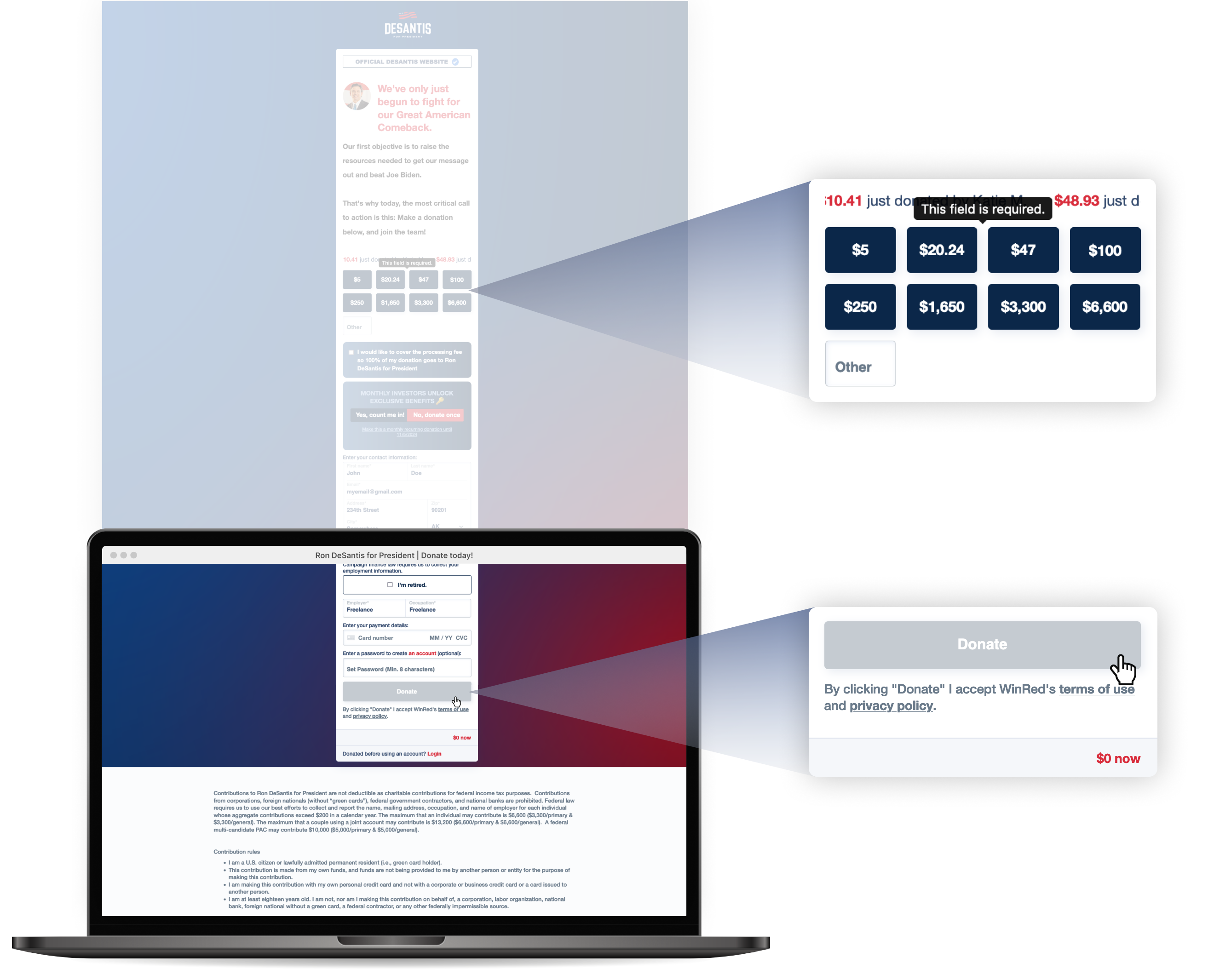 Entire donation form page shown, highlighting the donate section of the form and the out-of-view donation amount section where an error has occurred.
