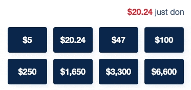 Ongoing animated scrolling animation placed above the different donation amount buttons.