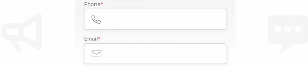 Phone and email fields with red mandatory asterisks.