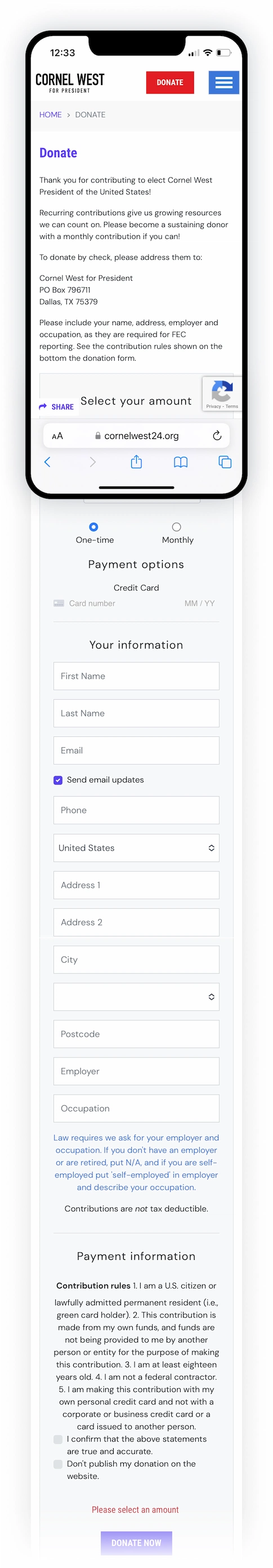Mobile donation form view.