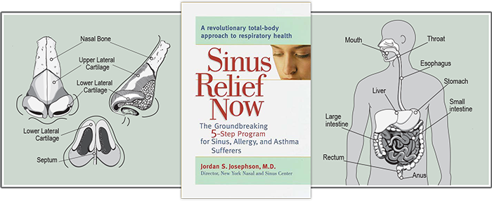 Book Cover, Nose and Internal diagrams on left and right