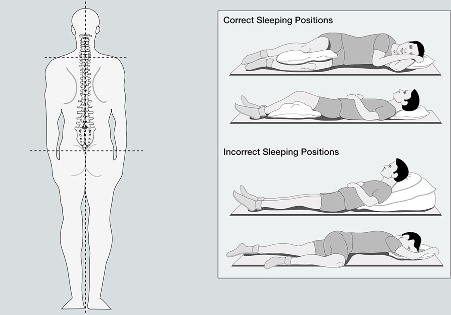 Spine Illustrations, Correct Sleeping Positions