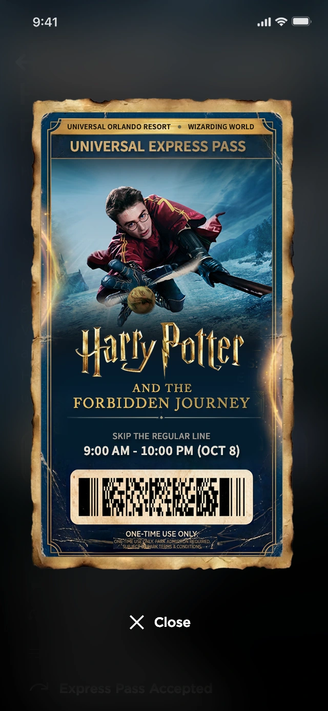 Paperless express ticket featuring Harry Potter flying after the Golden Stitch.